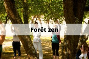 Forêt zen