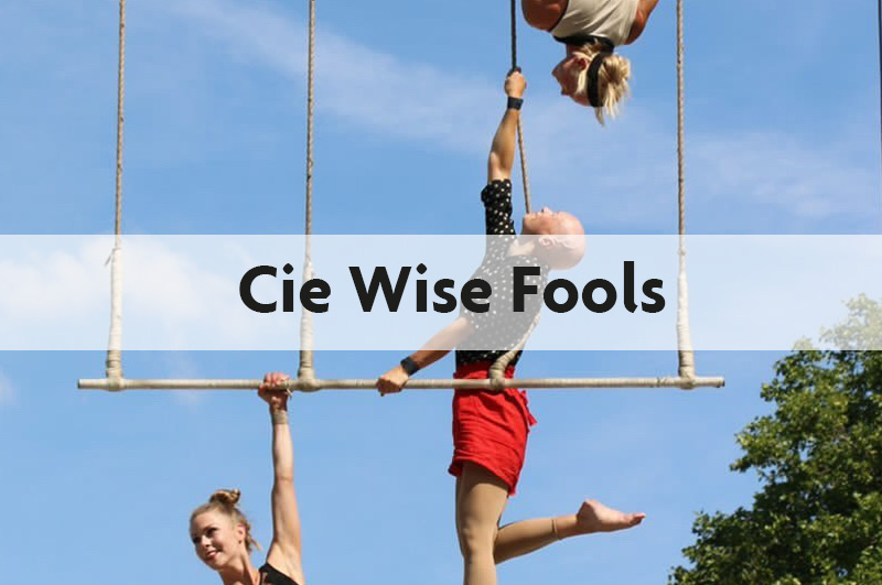 Cie Wise Fools